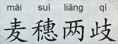 麦穗两歧的拼音