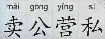 卖公营私的拼音