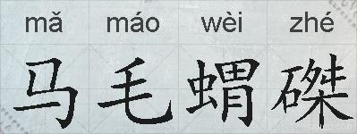 马毛蝟磔的拼音