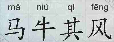 马牛其风的拼音