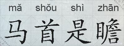 马首是瞻的拼音