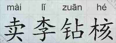 卖李钻核的拼音