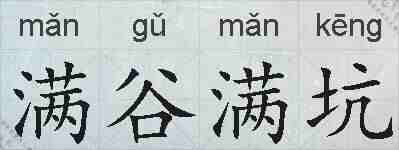 满谷满坑的拼音