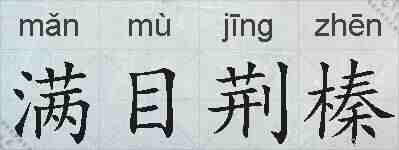 满目荆榛的拼音