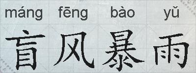 盲风暴雨的拼音