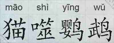 猫噬鹦鹉的拼音