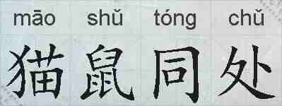 猫鼠同处的拼音