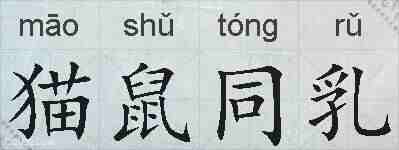 猫鼠同乳的拼音