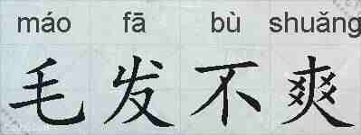 毛发不爽的拼音