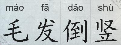 毛发倒竖的拼音