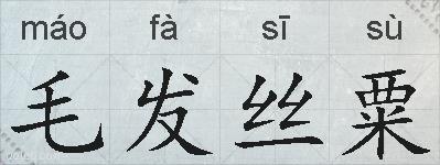 毛发丝粟的拼音