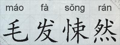 毛发悚然的拼音