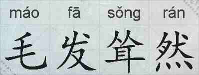 毛发耸然的拼音