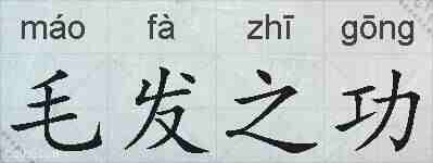 毛发之功的拼音