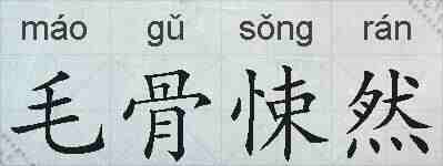 毛骨悚然的拼音