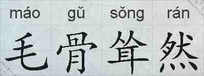 毛骨耸然的拼音