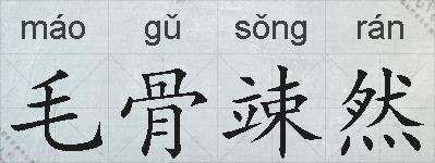 毛骨竦然的拼音