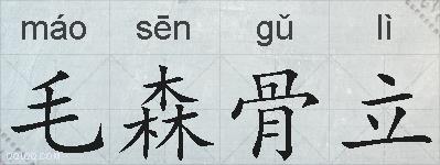 毛森骨立的拼音