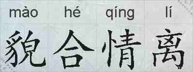 貌合情离的拼音