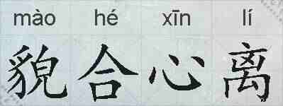 貌合心离的拼音