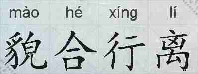 貌合行离的拼音