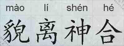 貌离神合的拼音