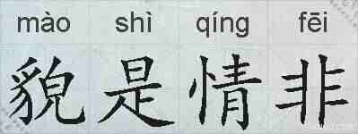 貌是情非的拼音
