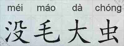 没毛大虫的拼音