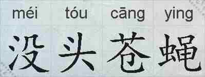 没头苍蝇的拼音