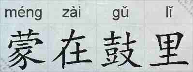 蒙在鼓里的拼音