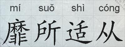 靡所适从的拼音