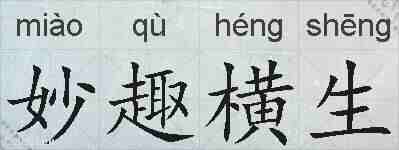 妙趣横生的拼音