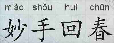 妙手回春的拼音