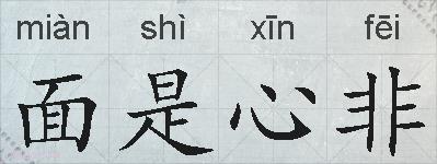 面是心非的拼音