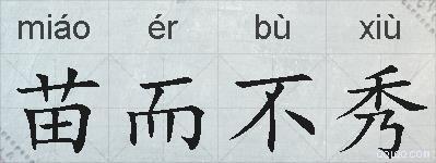 苗而不秀的拼音