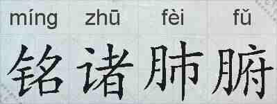 铭诸肺腑的拼音