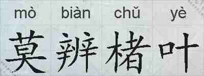 莫辨楮叶的拼音