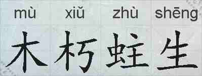 木朽蛀生的拼音