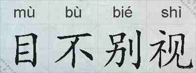 目不别视的拼音