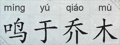 鸣于乔木的拼音