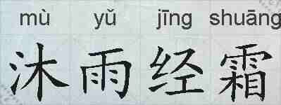 沐雨经霜的拼音