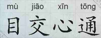 目交心通的拼音