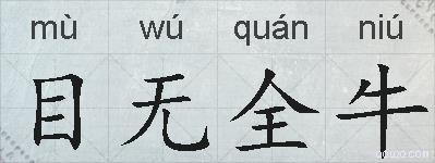 目无全牛的拼音