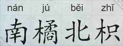南橘北枳的拼音