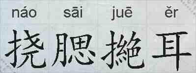 挠腮撧耳的拼音
