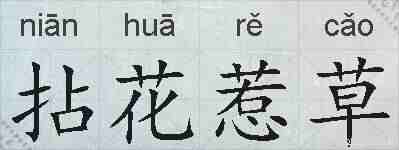 拈花惹草的拼音