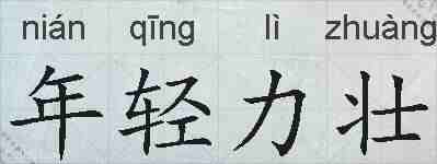 年轻力壮的拼音
