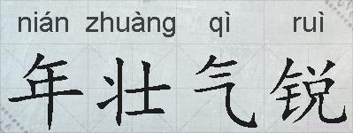 年壮气锐的拼音
