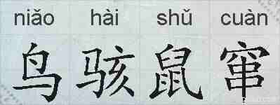 鸟骇鼠窜的拼音