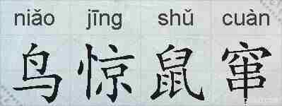 鸟惊鼠窜的拼音
